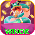winok Pro 2026