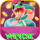 winok Pro 2026